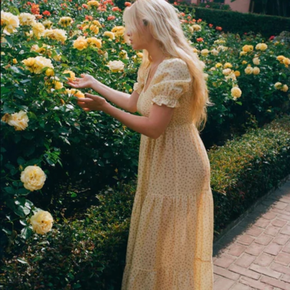 Christy Dawn Brooklyn Dress is Silk Cotton Golden Pollinator! Size Small.